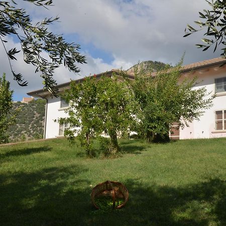 B&B Macchia D'Olmo Capaccio Екстериор снимка