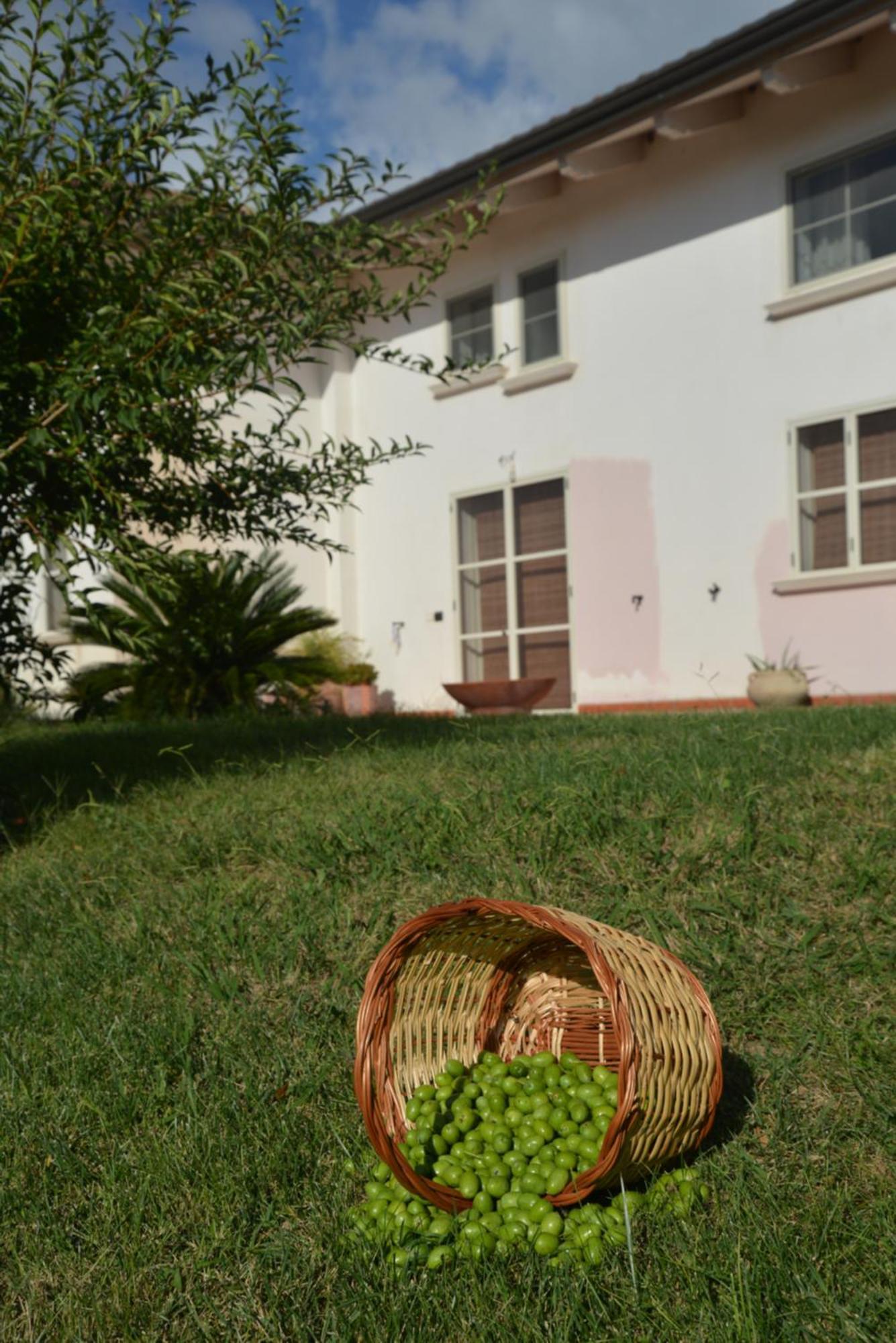 B&B Macchia D'Olmo Capaccio Екстериор снимка