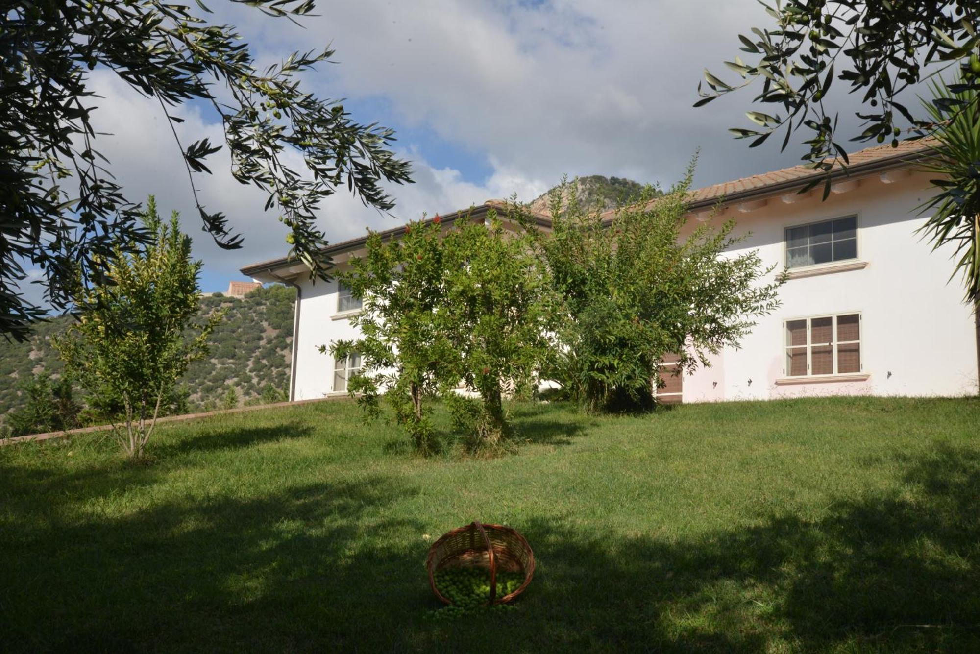 B&B Macchia D'Olmo Capaccio Екстериор снимка