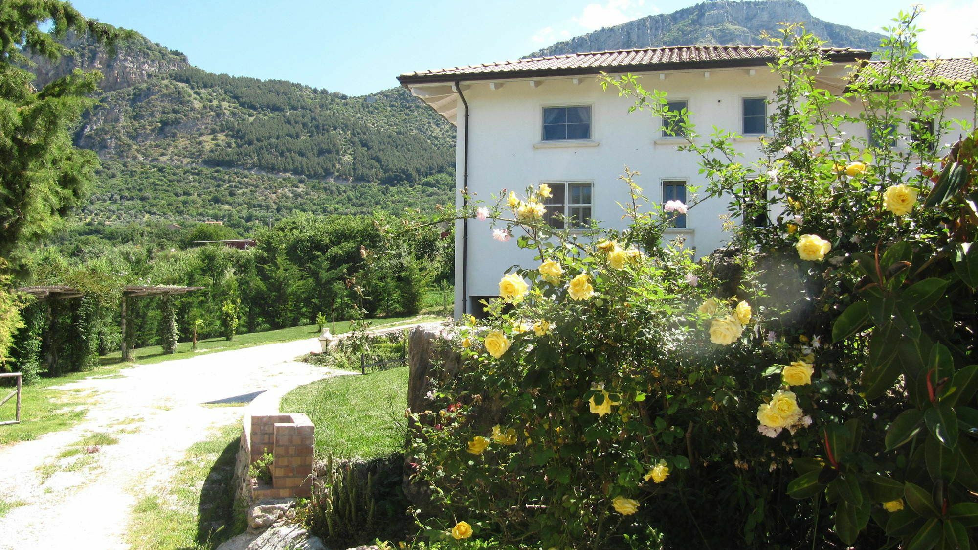 B&B Macchia D'Olmo Capaccio Екстериор снимка