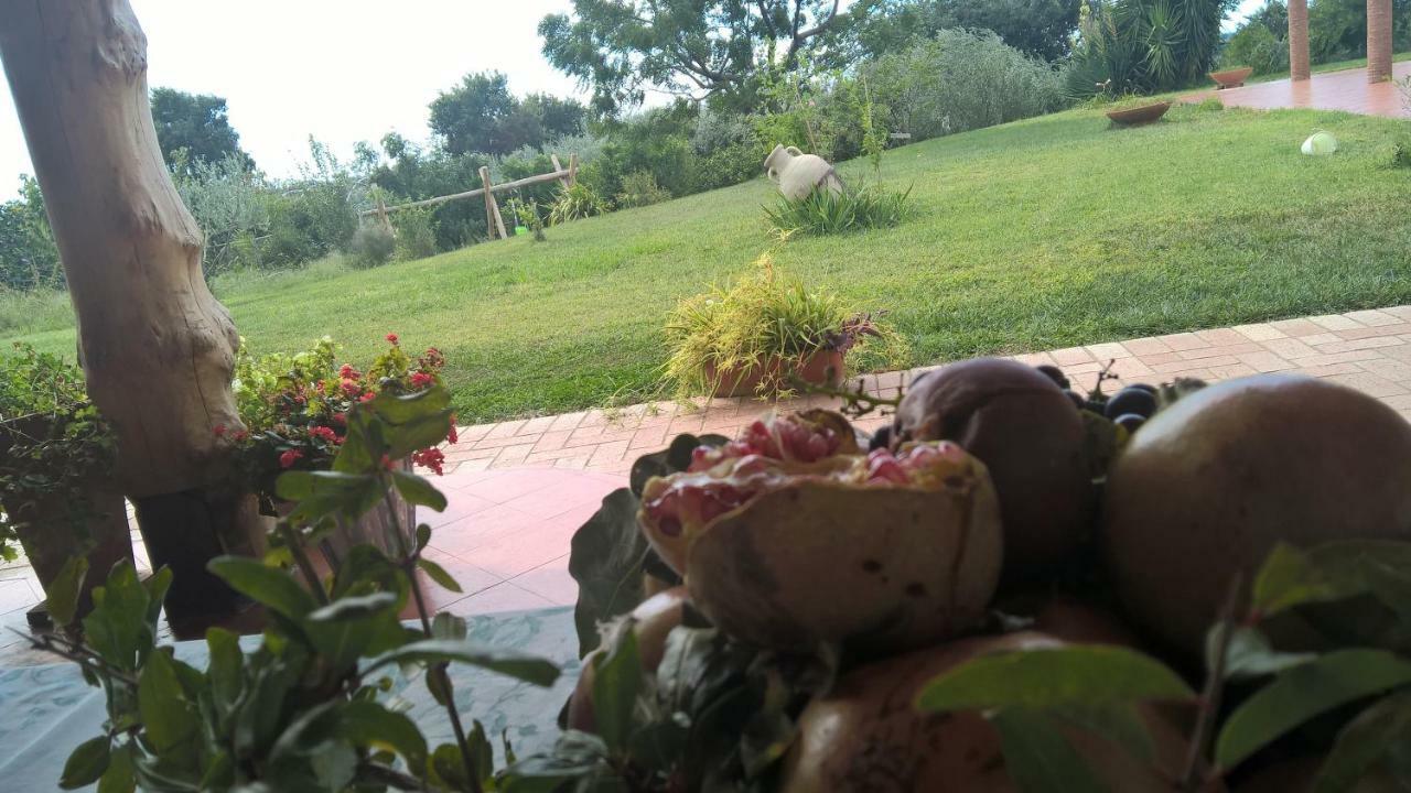 B&B Macchia D'Olmo Capaccio Екстериор снимка