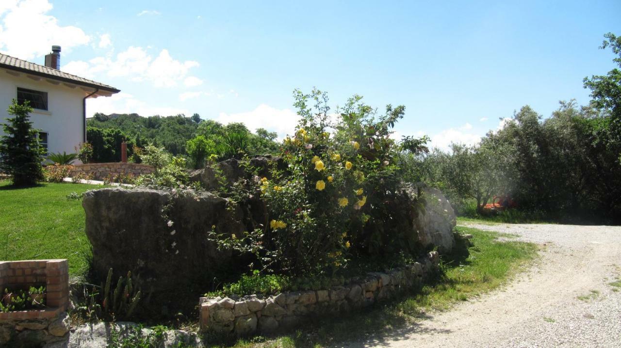 B&B Macchia D'Olmo Capaccio Екстериор снимка