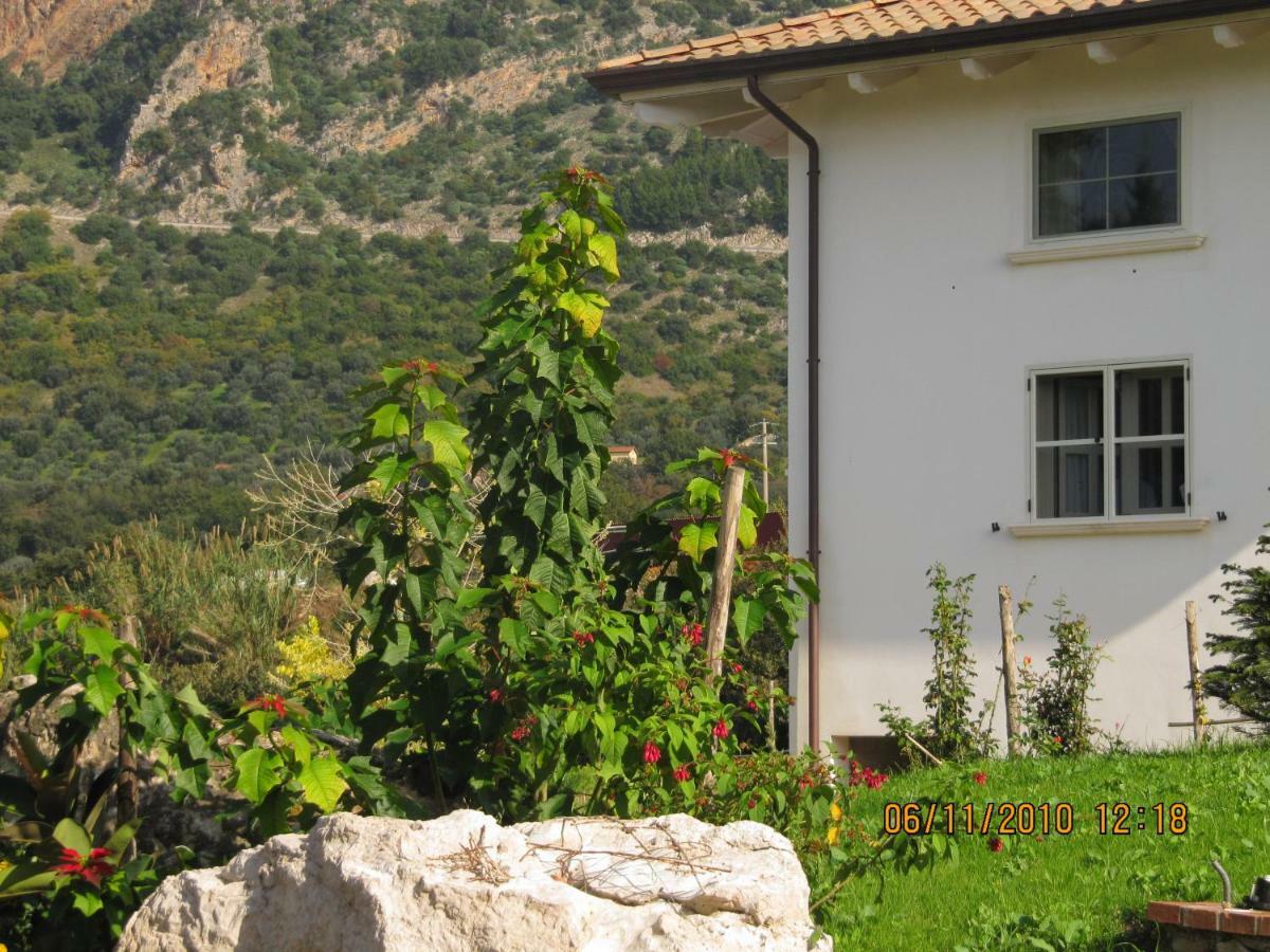 B&B Macchia D'Olmo Capaccio Екстериор снимка
