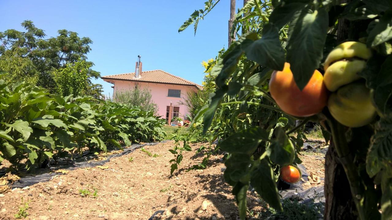 B&B Macchia D'Olmo Capaccio Екстериор снимка
