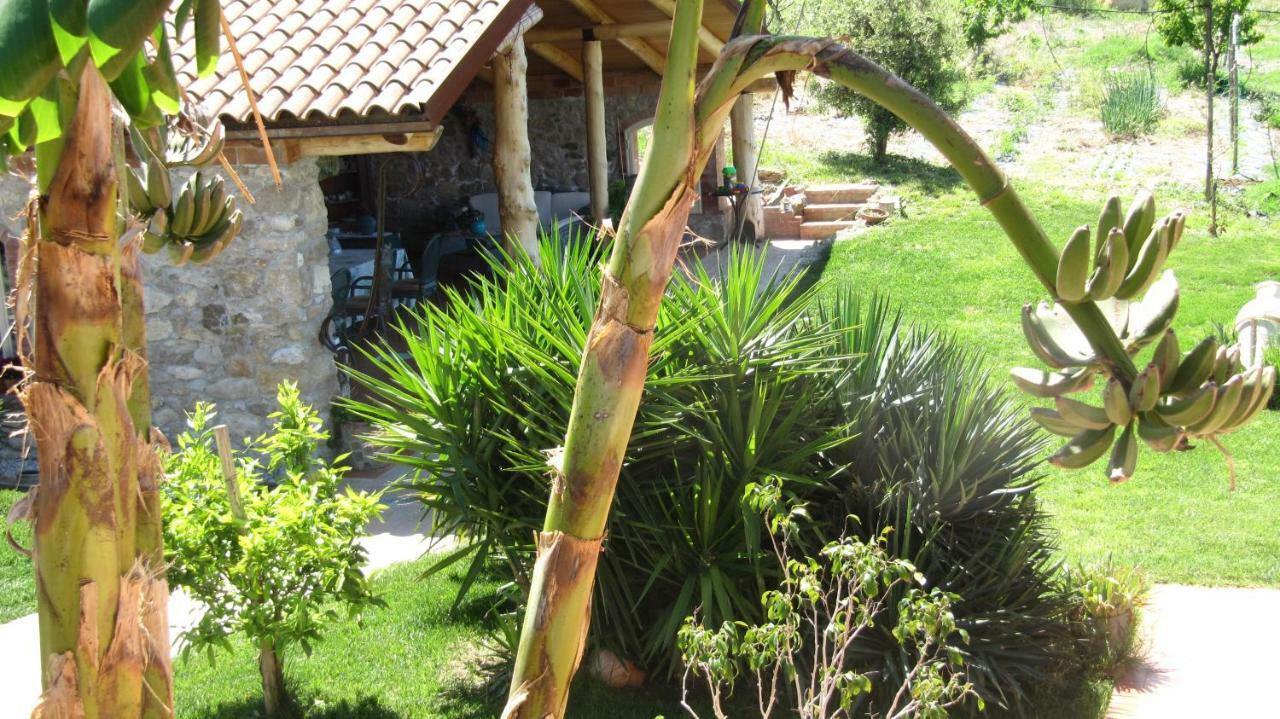 B&B Macchia D'Olmo Capaccio Екстериор снимка