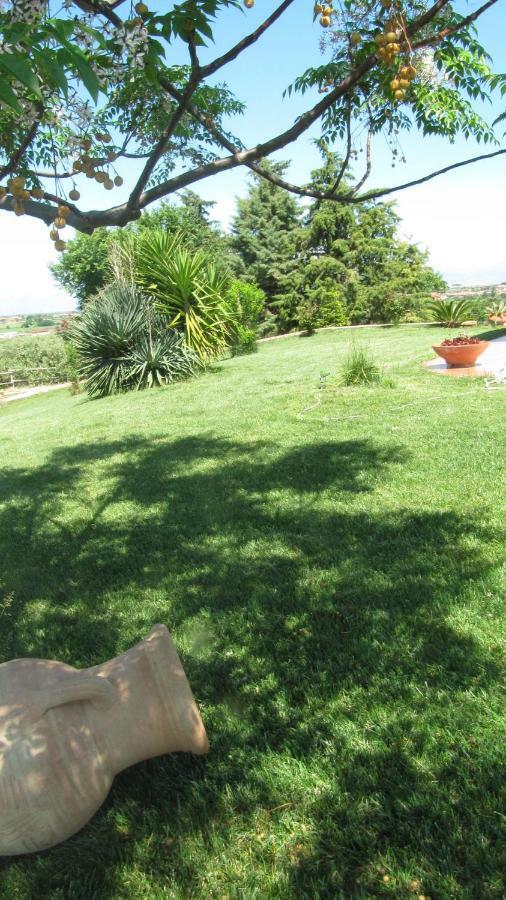 B&B Macchia D'Olmo Capaccio Екстериор снимка